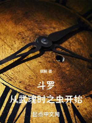斗罗之武魂时代