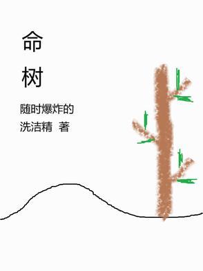 命树SOD酵母蛋白片