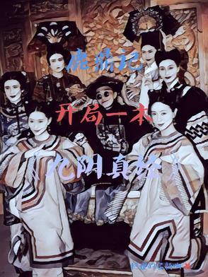 鹿鼎记系统完结