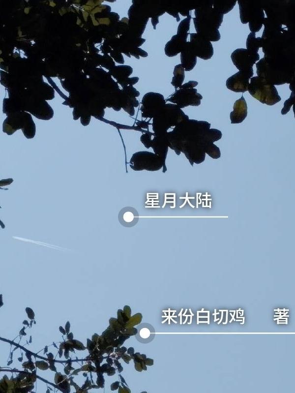 星月大陆官网