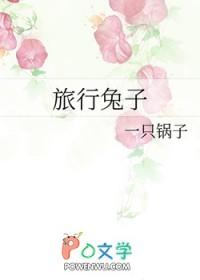 综 旅行者