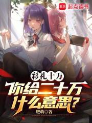 你给二十万什么意思?全文免费阅读