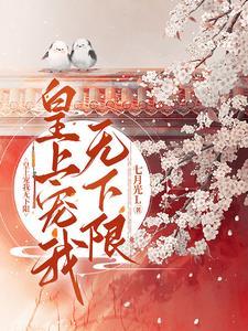 皇上宠皇后