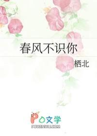 春风不相识下一句是什么