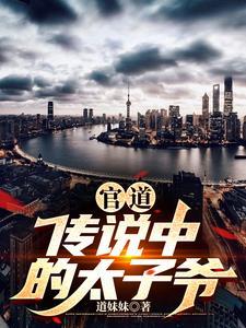 官场太子爷无弹窗