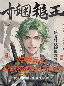 我的特种兵系列