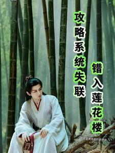 系统攻略出了错