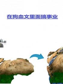 在狗血文里搞事业讲的什么故事