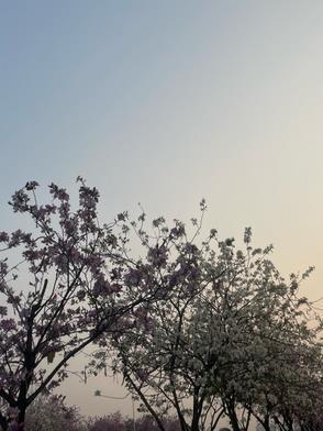 搬空家底去下乡大结局