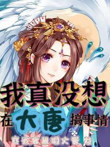 大唐我真不想当